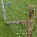 Cerca de campo galvanizada de la instalación fácil